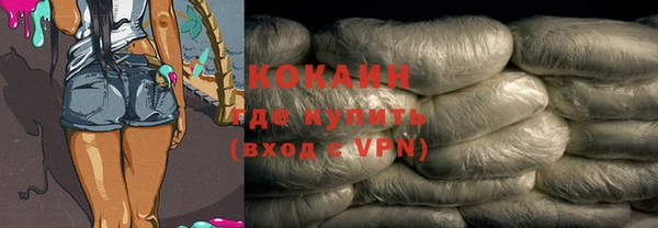 apvp Бородино