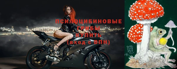 apvp Бородино