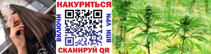 Бошки Шишки MAZAR  Верхний Тагил 